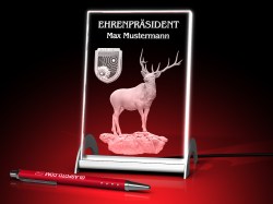 Auszeichnung - Vereinspräsident - Glasfoto beleuchtet – GLASFOTO.COM